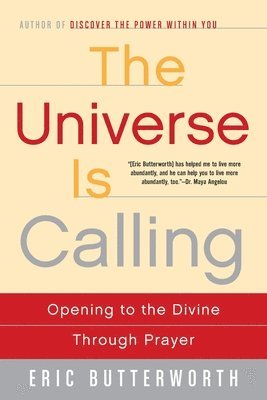 bokomslag Universe is Calling