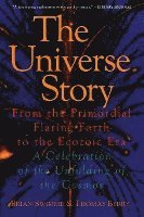 bokomslag Universe Story