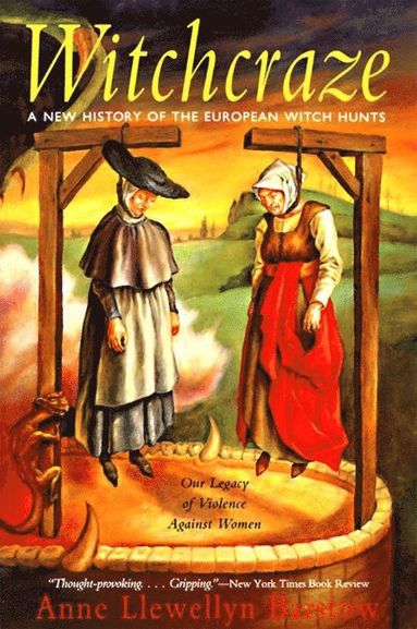 bokomslag Witchcraze