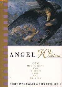 bokomslag Angel Wisdom