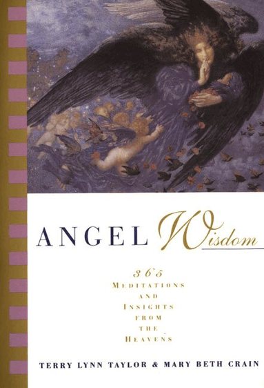 Terry Lynn Taylor, M B Cain - Angel Wisdom, Häftad