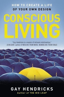 bokomslag Conscious Living