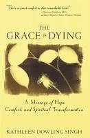bokomslag Grace in Dying