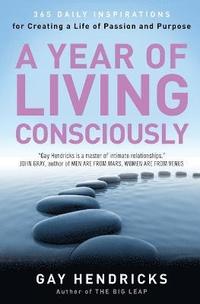 bokomslag A Year of Living Consciously