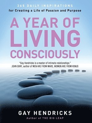 bokomslag Year of Living Consciously
