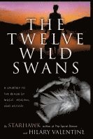 bokomslag The Twelve Wild Swans