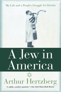bokomslag Jew in America