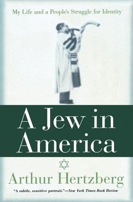 bokomslag Jew in America