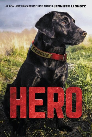 Jennifer Li Shotz - Hero, Häftad