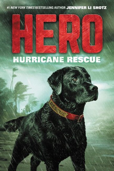 Jennifer Li Shotz - Hero: Hurricane Rescue, Häftad
