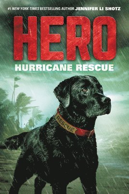 Hero: Hurricane Rescue