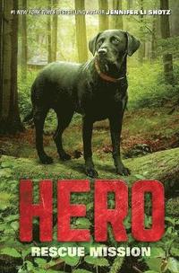 bokomslag Hero