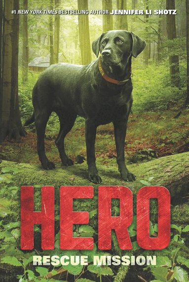 Jennifer Li Shotz - Hero: Rescue Mission, Häftad