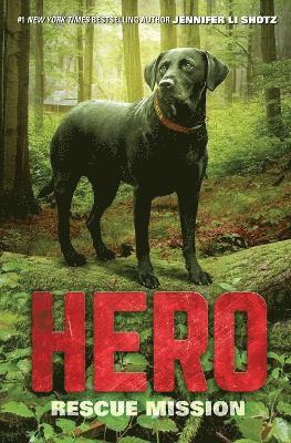 bokomslag Hero