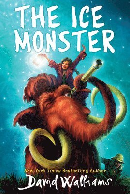 David Walliams - The Ice Monster, Häftad