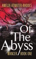 Amelia Atwater-Rhodes - Of the Abyss, Häftad