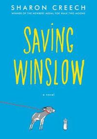 bokomslag Saving Winslow