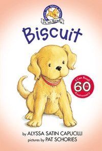 bokomslag Biscuit