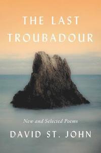 bokomslag The Last Troubadour