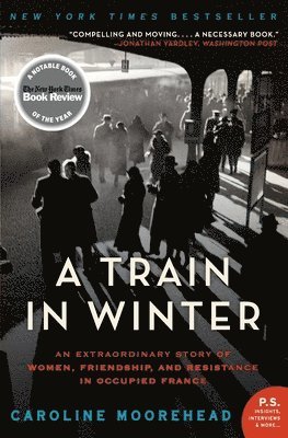 A Train in Winter 1