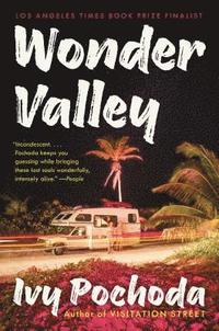 bokomslag Wonder Valley