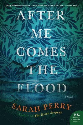 After Me Comes The Flood 1