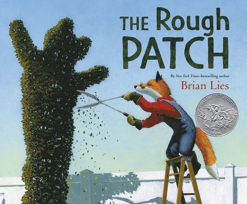 The Rough Patch 1