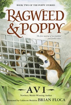 Avi - Ragweed & Poppy, Häftad