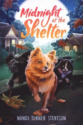 Nanci Turner Steveson - Midnight at the Shelter, Inbunden