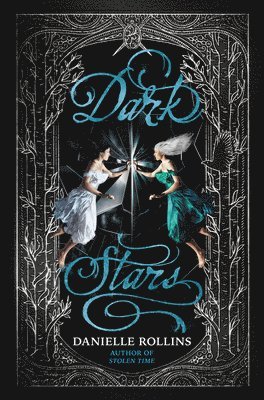 Dark Stars