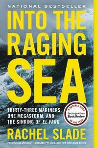 bokomslag Into the Raging Sea