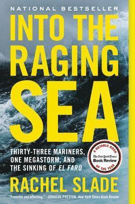 bokomslag Into the Raging Sea