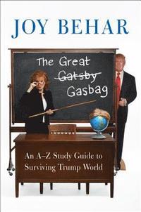 bokomslag The Great Gasbag