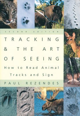 bokomslag Tracking and the Art of Seeing