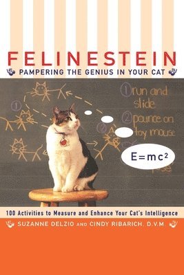 Felinestein 1