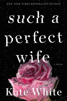 Such a Perfect Wife 1