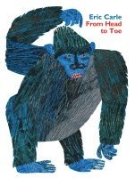 From Head to Toe Padded Board Book 1