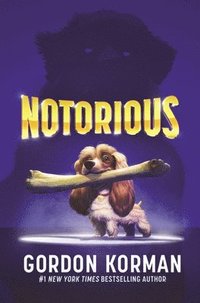 bokomslag Notorious