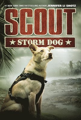 bokomslag Scout: Storm Dog