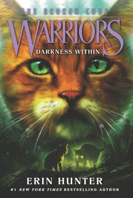 bokomslag Warriors: The Broken Code #4: Darkness Within