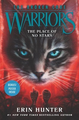 bokomslag Warriors: The Broken Code: The Place of No Stars