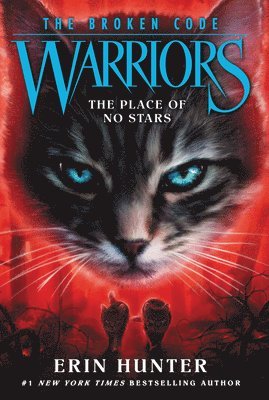 Warriors: The Broken Code #5: The Place of No Stars 1