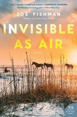 Invisible as Air 1