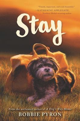 Stay 1