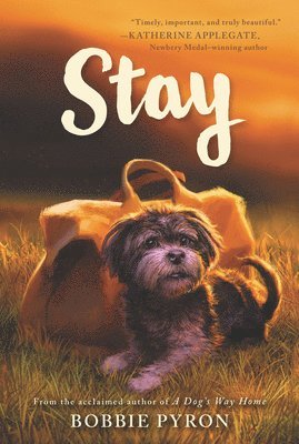 Stay 1