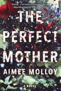 bokomslag Perfect Mother
