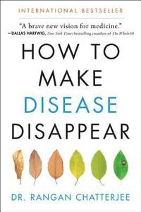 bokomslag How to Make Disease Disappear