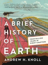 bokomslag A Brief History of Earth