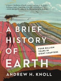 bokomslag A Brief History of Earth
