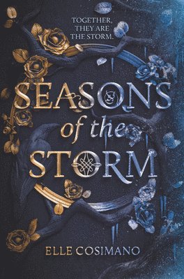 bokomslag Seasons of the Storm